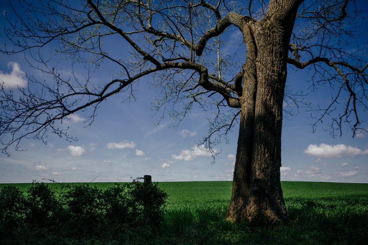 Drug and alcohol rehab serving Fairview, Tennessee